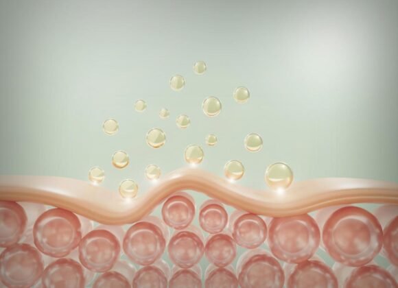 Illustration of skin layers showing spherical molecules penetrating the surface, representing the absorption process in skin-care treatments.