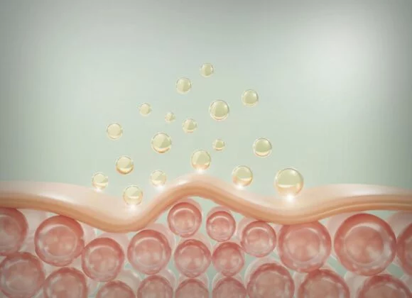 Illustration of skin layers showing spherical molecules penetrating the surface, representing the absorption process in skin-care treatments.