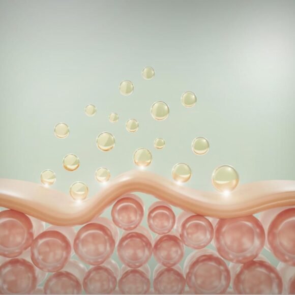 Illustration of skin layers showing spherical molecules penetrating the surface, representing the absorption process in skin-care treatments.