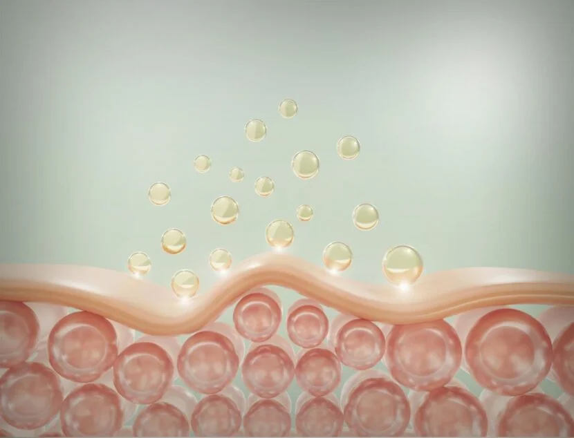 Illustration of skin layers showing spherical molecules penetrating the surface, representing the absorption process in skin-care treatments.